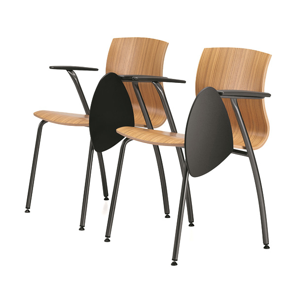 Conference Chairs
