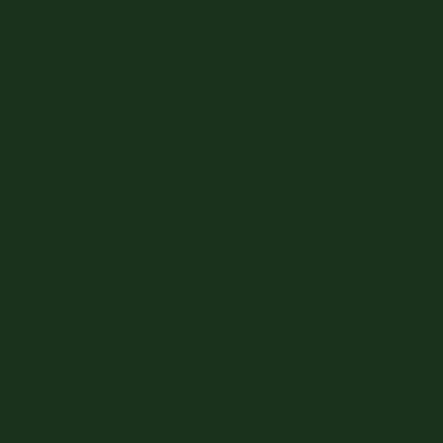 Dark Green (Verde Scuro) / NCS 8010 - G10Y 