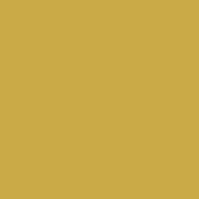 Broom yellow 