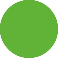 Light Green 6018  + $56 