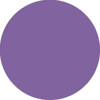 Violet 4005  + $56 