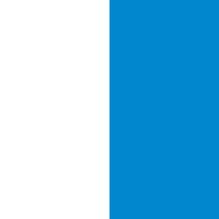 213 White/Cornflower Blue 