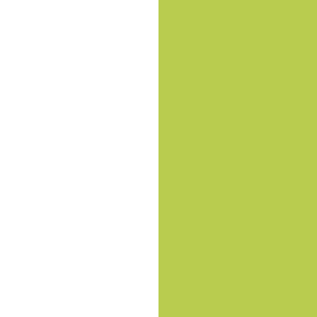 221 White/Light Green 