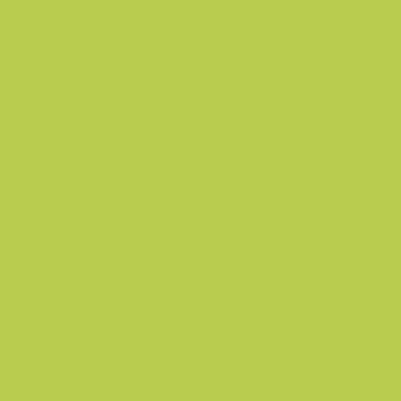 51 Verde claro 