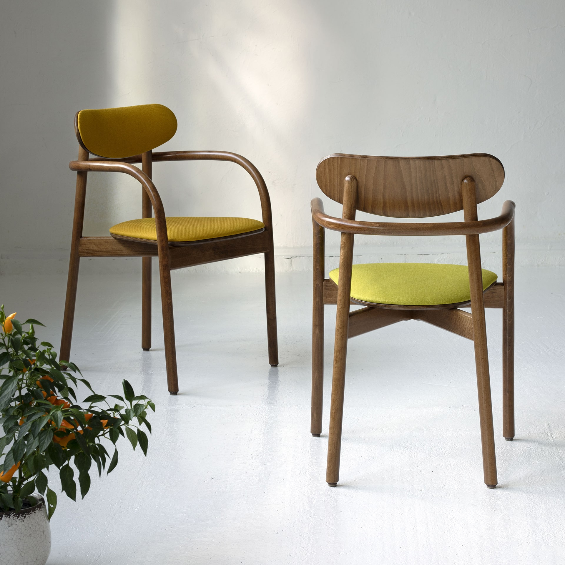 Beech stackable chair with armrests B-2961 La Benda
