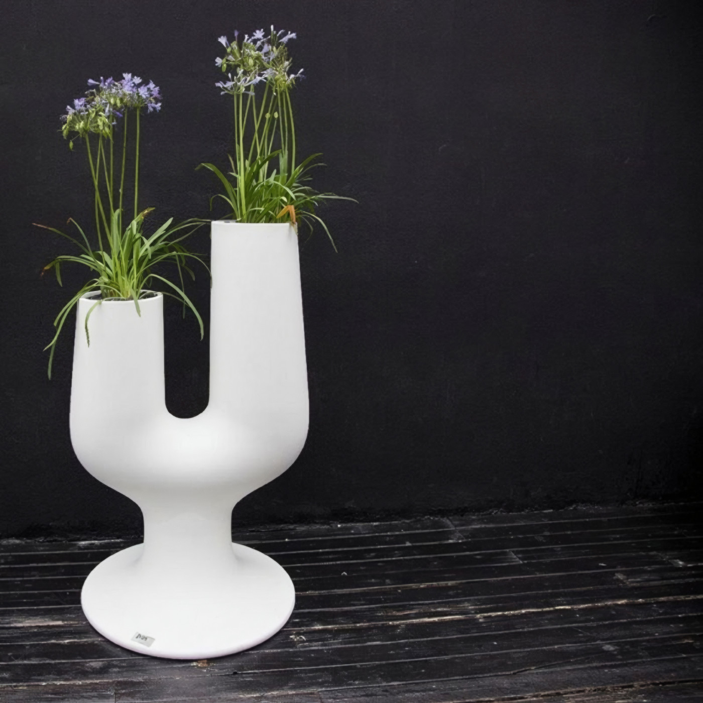 Polyethylene vase with two small compartments Cactus