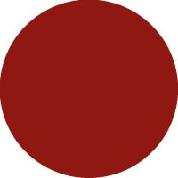 Ruby 3003 